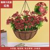 Plantas Colgantes Artificiales Colgantes de Pared Lirio Cesta Pequeña de Flores Flores Falsas Margarita Pequeña Flor de Gloria de la Mañana Rama Decoración del Hogar