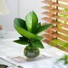 Bonsái de bola de musgo para decoración de interiores, una planta verde que atrae la fortuna, de hoja perenne, fácil de cuidar y purifica el aire, adecuado para plantar en escritorio