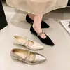 Zapatos de mujer de tacón grueso con punta estilo francés, nuevo estilo de hada para otoño 2026, adecuados para combinar con faldas, con correa de pedrería, zapatos Mary Jane