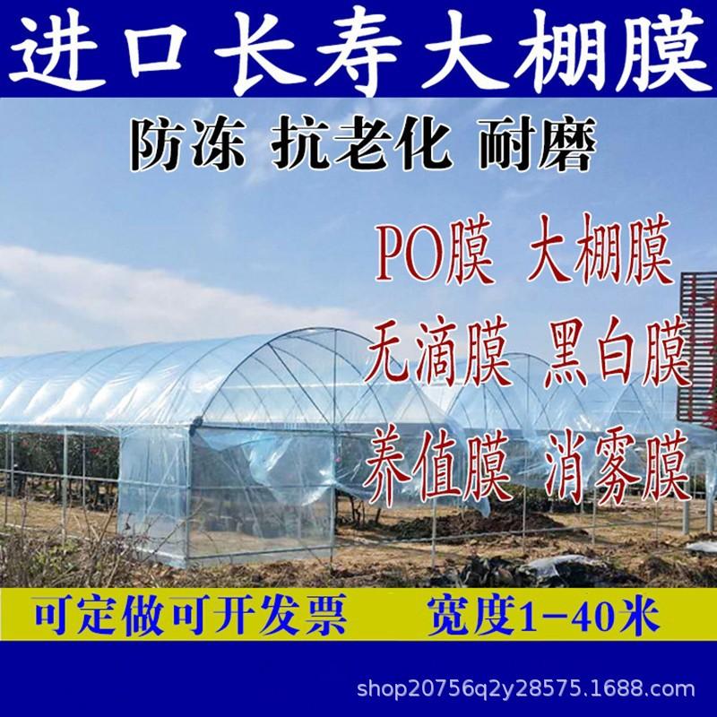 蓝色无滴大棚膜透光度.jpg