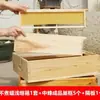Conjunto de Dez Quadros de Colmeia Rasa, Kit de Quadro Rasa Acabado, Quadro Padrão para Abelha Italiana, Quadro de Colmeia Média Rasa em Madeira de Cedro, Conjunto Completo de Divisores 13.5