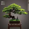 Novo Bonsai Artificial Estilo Chinês Inspirado em Zen Pinheiro Acolhedor e Pinheiro Arhat para Decoração de Escritório, Sala de Estar e Hall de Entrada
