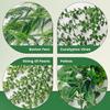 Amazon combinación de planta en maceta colgante eucalipto planta en maceta tira colgante bonsái decoración interior planta verde simulación planta en maceta