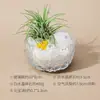 Cristal Natural Pedra Original Decoração Abacaxi de Ar Velas de Cristal da Sorte Decoração de Aromaterapia de Cristal para Casa Decoração de Pedra Original Decoração