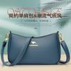 Bolso de mujer de alta gama 2024, nuevo bolso bandolera pequeño, bolso de hombro, bolso de mujer, bolso cuadrado pequeño de moda, estilo europeo y americano.