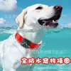 Coleira Pet Luminosa de PVC à Prova d'Água, Coleira Antiperda para Passear com Cães à Noite, Coleira Luminosa para Gatos, Tamanho Ajustável