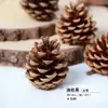 Virutas de Madera Cáscara de Nuez Material Planta Taibao Especimen Piña de Pino Paquete de Materiales de Flores Secas DIY Chen Mai Hecho a Mano Bellota Seca Marco de Fotos
