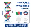 Modelo de Estructura de Doble Hélice de ADN para Ensamblar Genes Genéticos y Mutaciones, Equipo de Experimento de Química y Biología DIY para Estudiantes de Secundaria y Preparatoria