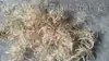 Virutas de bambú hechas a mano, astillas de madera de bambú, médula de bambú, limpiador de biberones, limpiador de ollas para lavar platos, estropajo, experimento de combustión, virutas de bambú 50g