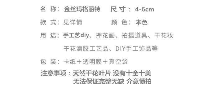 小号绣球_副本_副本_副本.png