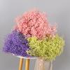 Atacado Gipsofila Flor Imortal Gipsofila Buquê de Flor Seca Material DIY Presente Dia das Mães Flor Presente Barraca de Rua