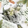 Wx146 Papel de Pera Bosque Verde 17g Papel de Envoltura a Prueba de Humedad para Dulces de Regalo Decoración Navideña Papel de Copia