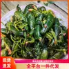 El cilantro y los pepinos están frescos y fragantes, con una textura delicada, ácidos y refrescantes, perfectos como guarnición. Son Frescos, Crujientes, Tiernos, Jugosos y Deliciosos