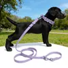 Coleira de Silicone para Cachorro DIY Letras de Desenho Animado Personalizada para Animal de Estimação Deslizante Universal Gato Animal de Estimação Coleira