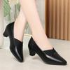 Una generación de zapatos de punta para mujer 2024 primavera nueva moda zapatos de boca profunda cómodos suaves zapatos de cuero para mujer de mediana edad