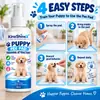 Tapetes Higiênicos KineShineX para Filhotes, Auxílios para Treinamento Sanitário de Pets em Ambientes Internos, Guias de Posicionamento para Tapetes Higiênicos de Filhotes