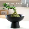 Kenzan Criativo Vaso Arranjador de Flores Cerâmica Íris Pau-Brasil Recipiente Bola de Musgo Fruteira Mesa Fabricante Pintura Colorida