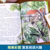 Notas sobre Insectos Edición Completa Auténtica Original de Fabre, una Lectura Obligatoria para Estudiantes de Cuarto Grado de Primaria en el Primer Volumen y Estudiantes de Tercer Grado de Primaria en el Segundo Volumen