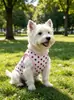Nuevo Chaleco Estampado de Dibujos Animados Iins Fresco y Transpirable para Perros Pequeños, Adecuado para Todas las Estaciones