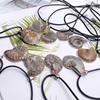 Pingente Fóssil de Náutilo Natural Concha Fóssil de Caracol Cruzamento Quente Fonte de Joias Espécime Mineral Original Atacado