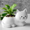 Jiahui Mei Maceta de Flor de Gatito Molde de Silicona DIY Portavelas de Gato Lindo Adorno de Yeso Herramienta de Lijado