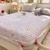 Funda de sábana bajera de franela de invierno Clase A con felpa y terciopelo, sábana bajera de una sola pieza, funda de sábana bajera de forro polar coral, protector de colchón de forro polar, funda para cama individual
