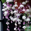 Compra en E-Commerce - Transfronteriza. Semillas de Flor de Begonia Llorona Fáciles de Cultivar, Aptas para Plantar Todo el Año, Semillas para Sembrar y Florecer, Planta Trepadora