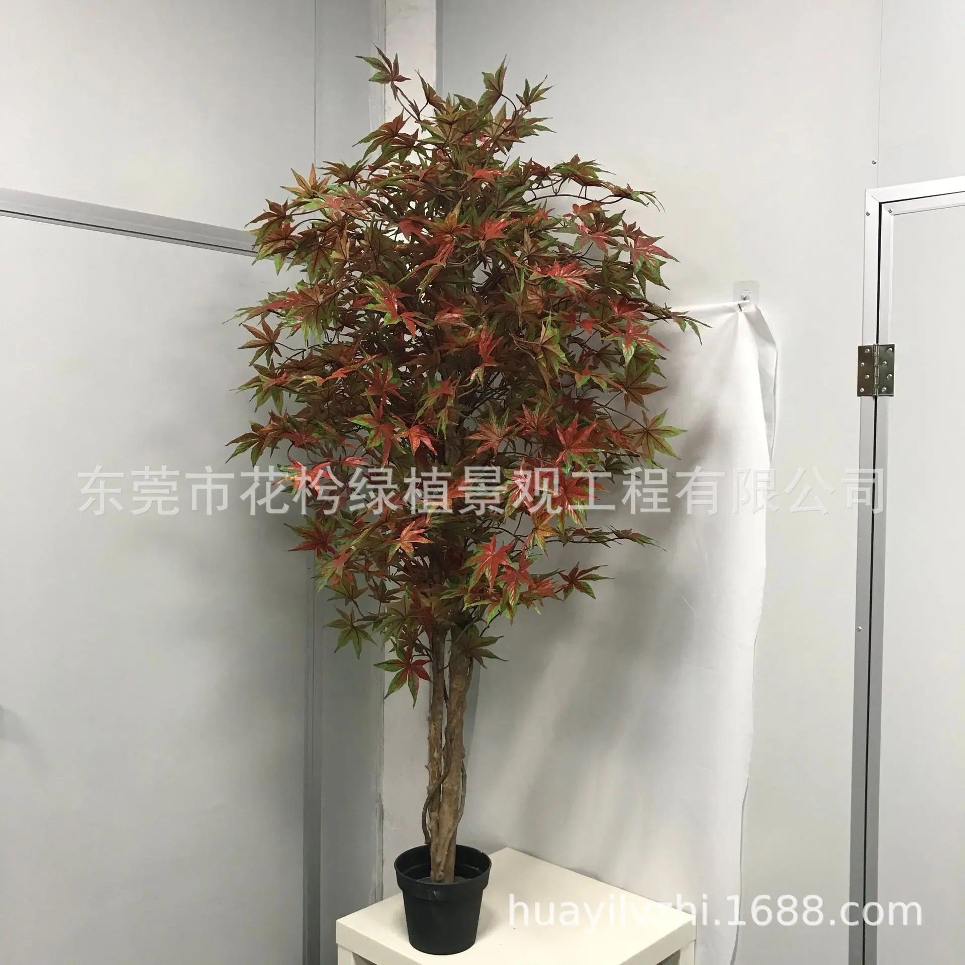 微信图片_2021052809445323 - 副本