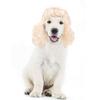 Peluca Universal para Gato y Perro Transfronteriza Color Dorado Claro Moderna de Olas Grandes Fiesta Navideña Divertida de Cabello Largo y Rizado