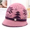 Sombrero de punto de ala ancha con pelo de conejo para otoño e invierno, sombrero de lana cálido con forro polar para mujeres de mediana edad, ancianas y abuelas