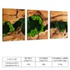 Temu Más Vendido Arte de Pared Abstracto Moderno de Árbol para Restaurante Pintura en Lienzo con Spray Sin Marco Tríptico Decorativo para el Hogar Sala de Estar