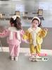 Conjunto Outono e Inverno para Meninas 2025 Novo Conjunto de Inverno Infantil Com Veludo Estilo Ocidental Bebê Inverno Engrossado Quente Conjunto de Duas Peças