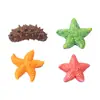 Micro paisajismo creativo simulación pequeña estrella de mar pepino de mar botella ecológica paisajismo de playa accesorios decorativos DIY mini adornos pequeños