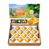 Fruta de Ginseng de Shilin, Yunnan (Fruta Redonda) Fruta Redonda Colhida na Árvore Presente de Feriado Caixa de Presente Compra em Grupo Presentear Embalagem para Produtos de Ano Novo