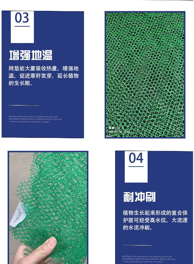 三维植被网_07.jpg