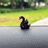 Mini Lindo Cisne Blanco y Negro Micro Paisaje Suculento Paisajismo Decoración de Exhibición para Coche Adornos Accesorios para Coche
