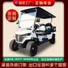 Carrito de Golf Nuevo 2+1 Carrito Turístico para Lugares Pintorescos Carrito para Ver Propiedades Recepción de Aeropuerto Carrito de Golf Eléctrico