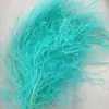 Grama Barba de Dragão Eterna Pendurada Arroz Decoração de Casa Pendurada na Parede Planta de Rattan Decoração de Casamento Grama Aspargo Grama Pena Grama Barba de Dragão