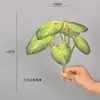 Plantas Verdes Simuladas Folha de Tartaruga Folha de Begônia Folha de Maçã Folha com Buracos Paisagismo de Micro Paisagem Materiais de Folha Materiais de Combinação para Decoração de Interiores Estilo Floresta