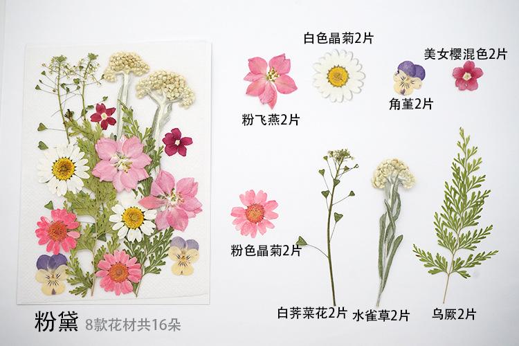 粉妆横展开.jpg