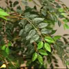 Árboles de Locusta Simulados, Árboles de Olmo, Árboles Banyan, Árboles Decorativos Grandes para Interiores y Exteriores, Árboles Artificiales, Plantas Verdes Simuladas, Adornos Simples de Paisajismo