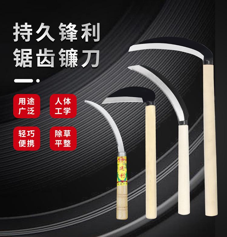 详情_03.jpg