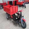 Triciclo Elétrico Basculante 1T para Fazenda e Casa Transportador de Carga Grãos Caminhão Aquático de Peixe Fujian