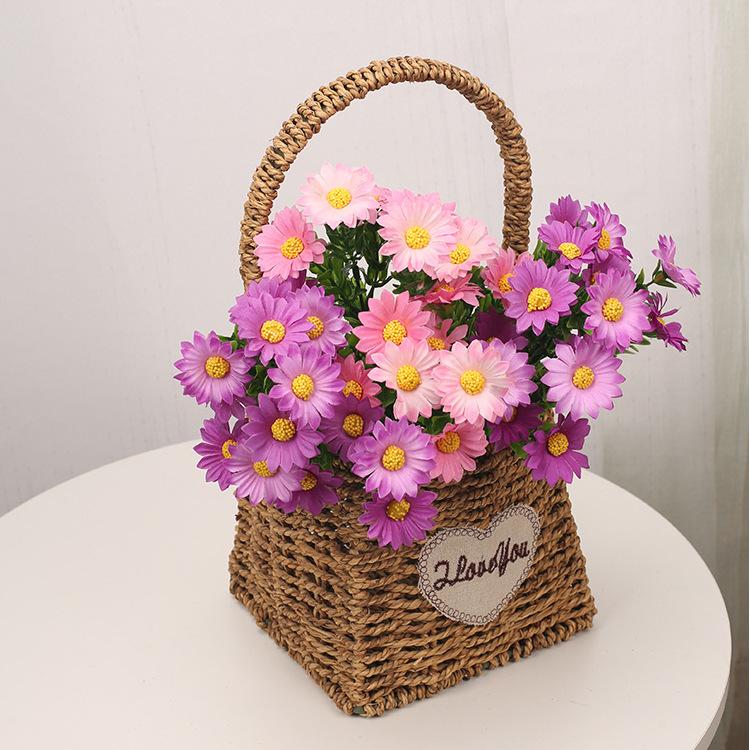 小把花邹菊3