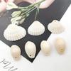100g concha natural de furo único 12mm-16mm dente de concha perfurado galvanizado acessórios para sapatos chapéu de molusco