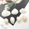 100g Concha de Caracol Natural de un Solo Agujero 12mm-16mm Dientes de Concha Perforados Galvanizados Accesorios de Concha para Zapatos y Sombreros