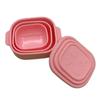 Caixa de Almoço de Silicone Amazon, Caixa de Almoço Selada para Trabalhadores de Escritório, Caixa de Lanches, Caixa para Conservar Fresco, Caixa de Armazenamento, Caixa de Almoço para Cozinha