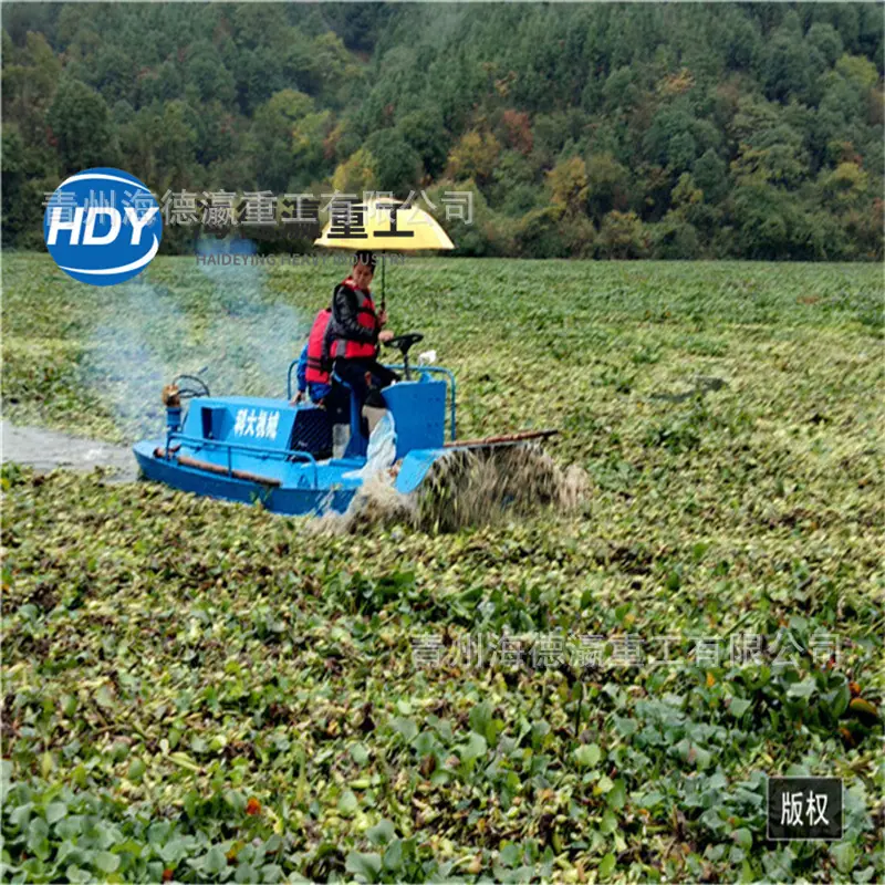 2江西碎草船 (2).jpg