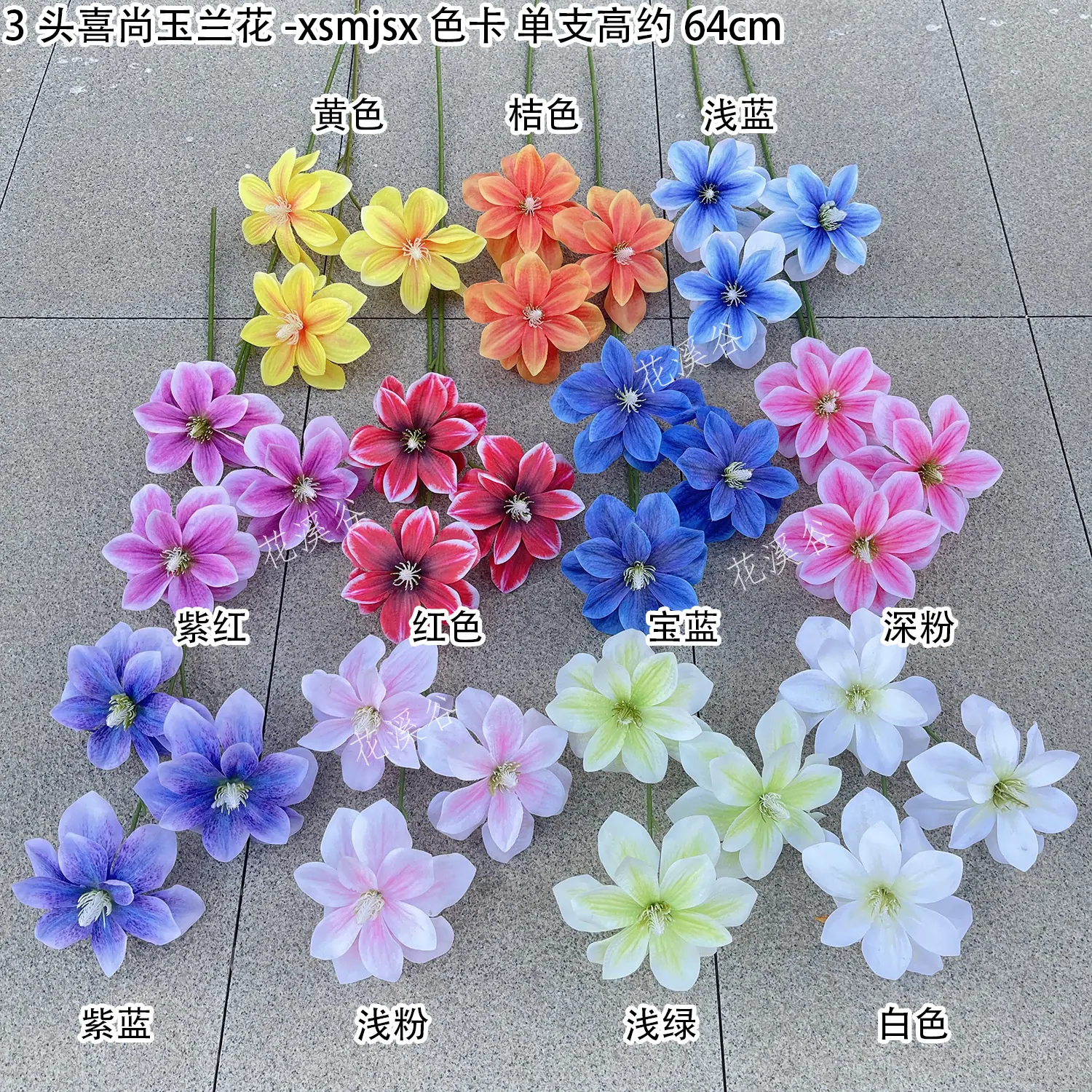 3头喜尚玉兰花-xsmjsx 色卡 花溪谷.jpg
