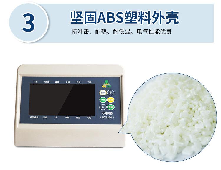 BT1300仪表详情页_04.jpg